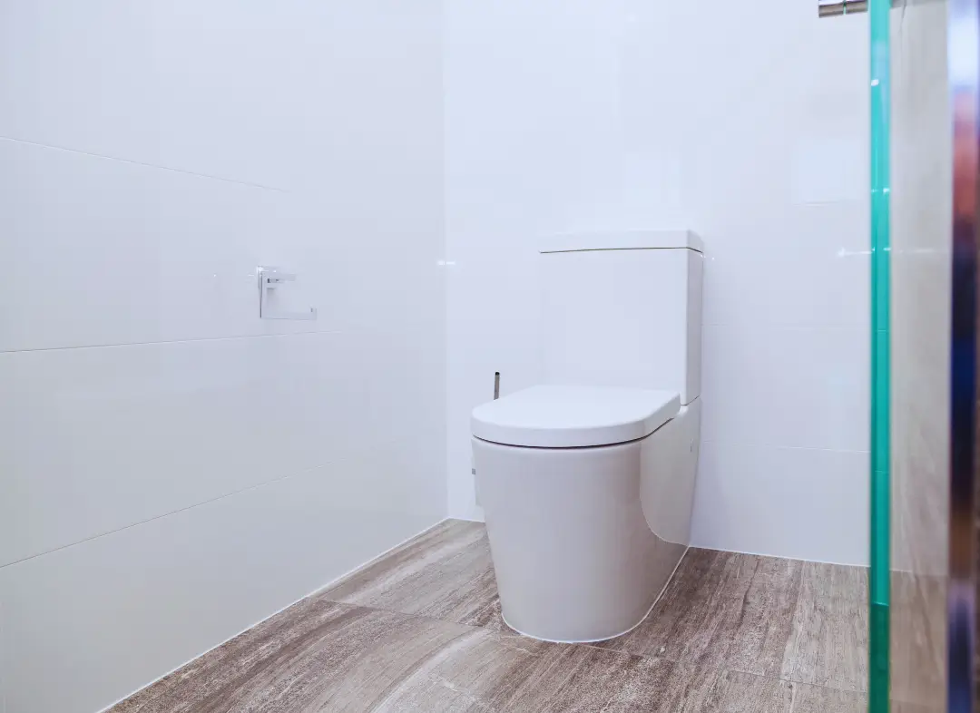 Remplacement de wc Pibrac